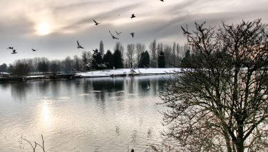 RAIN BRINGS NEW BREATH OF LIFE!