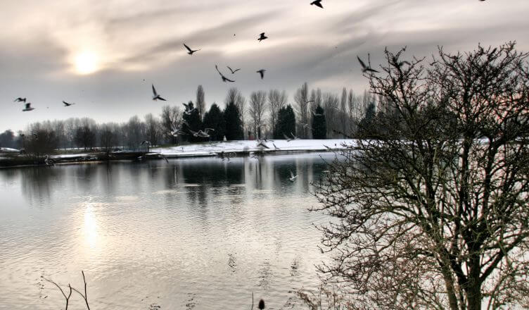 RAIN BRINGS NEW BREATH OF LIFE!