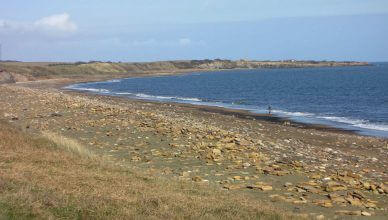 Lynemouth Beach