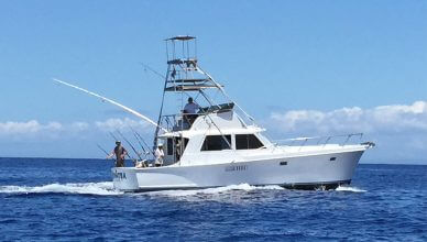 North East Charter Boats
