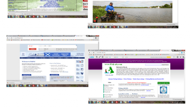 Fishing Websites