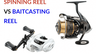 best-baitcasting-reel