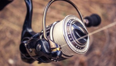 best fishing reel