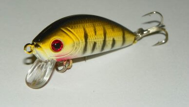 fishing lures or fishing tackle shops
